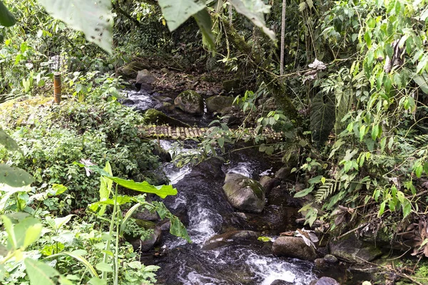 Paisajes Naturales Santa Rosa Cabal Risaralda Colombia — Foto de Stock