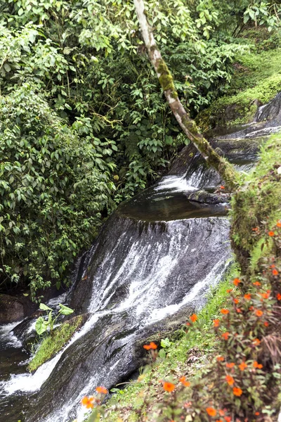 Paisajes Naturales Santa Rosa Cabal Risaralda Colombia — Foto de Stock