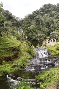 Risaralda, Kolombiya 'da Santa Rosa de Cabal Termen' lerindeki çağlayanlar