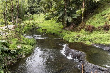 Risaralda, Kolombiya 'da Santa Rosa de Cabal Termen' lerindeki çağlayanlar