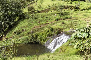 Risaralda, Kolombiya 'da Santa Rosa de Cabal Termen' lerindeki çağlayanlar