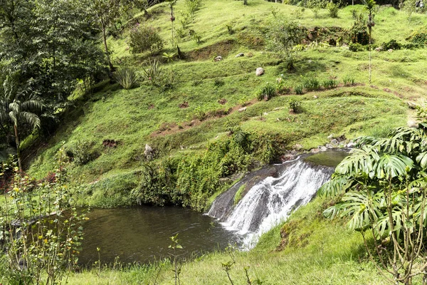 Risaralda, Kolombiya 'da Santa Rosa de Cabal Termen' lerindeki çağlayanlar