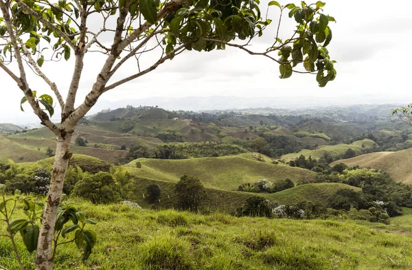 Lugares Interés Filandia Quindio Colombia — Foto de Stock