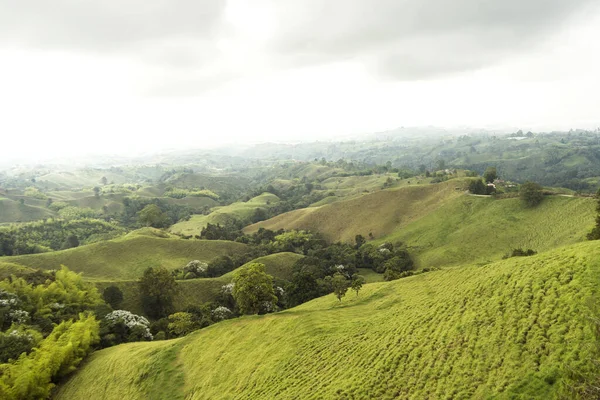 Lugares Interés Filandia Quindio Colombia — Foto de Stock