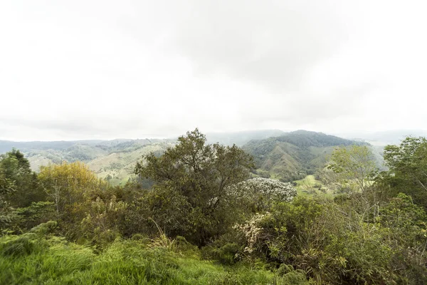 Krajobrazy Salento Alto Cruz Quindio Kolumbia — Zdjęcie stockowe