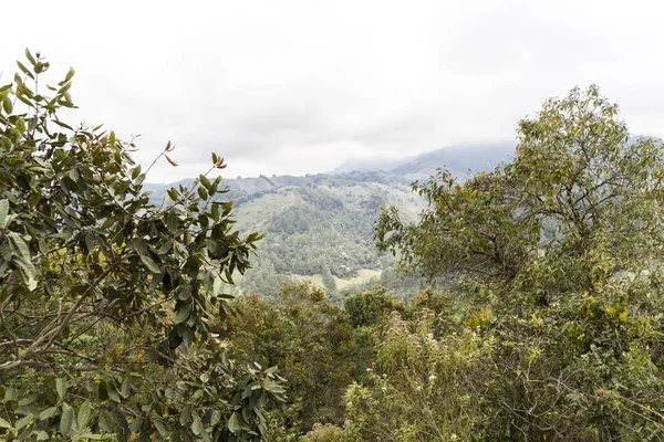 Krajobrazy Salento Alto Cruz Quindio Kolumbia — Zdjęcie stockowe