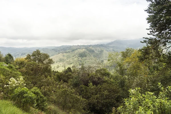 Krajobrazy Salento Alto Cruz Quindio Kolumbia — Zdjęcie stockowe