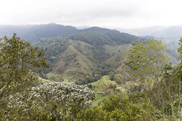 Sceneries Lookout Salento Alto Cruz Quindio Colombia — Stok fotoğraf