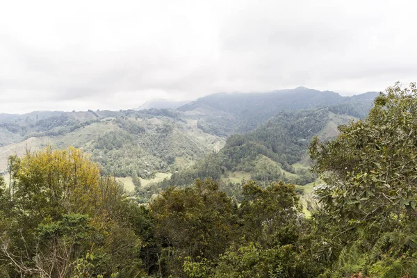 Krajobrazy Salento Alto Cruz Quindio Kolumbia — Zdjęcie stockowe