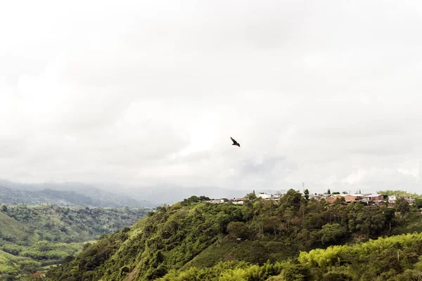Krajobrazy Przyrodnicze Widoku Armenii Quindio Kolumbia — Zdjęcie stockowe
