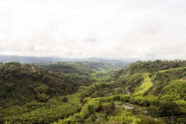 Krajobrazy Przyrodnicze Widoku Armenii Quindio Kolumbia — Zdjęcie stockowe