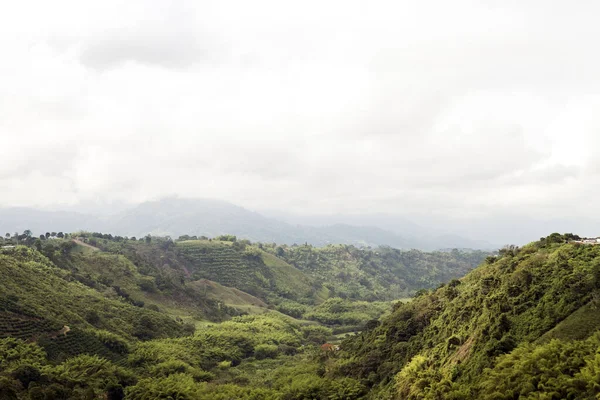 Paysages Naturels Belvédère Arménie Quindio Colombie — Photo