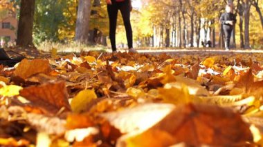 Bir spor rakam bir kadınla bir akçaağaç düşmüş yapraklar yürür.