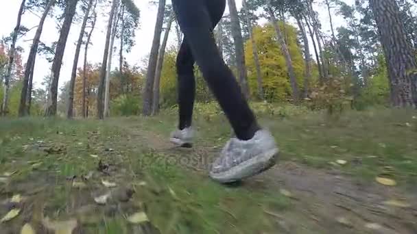 Slow motion. En kvinna är engagerade i sport i skogen. Tycker om löpning. — Stockvideo