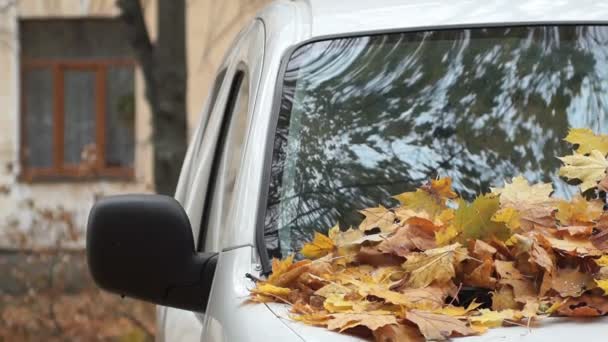 Foglie giallo autunno sul parabrezza dell'auto. Panorama . — Video Stock