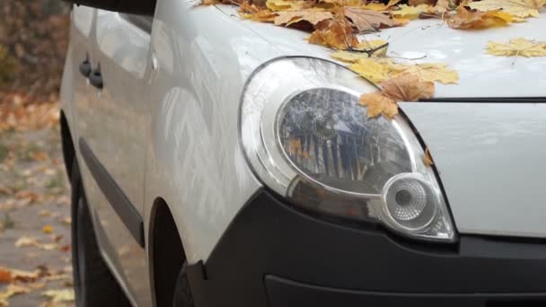Herbstgelbe Blätter auf der Windschutzscheibe des Autos. Panorama. — Stockvideo
