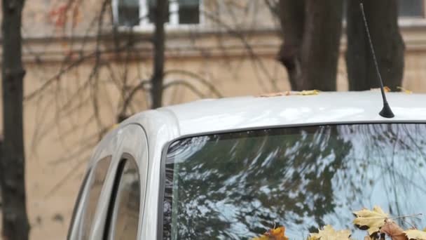 Φθινοπωρινά κίτρινα φύλλα στο παρμπρίζ του αυτοκινήτου. Πανόραμα. — Αρχείο Βίντεο