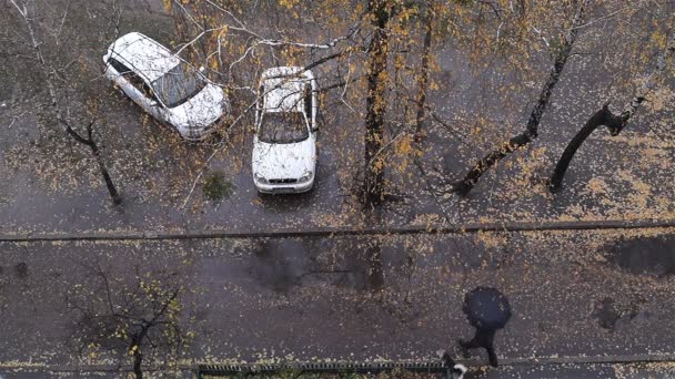 Przechodzień wyjmuje psa na spacer. Wczesną zimą. Widok z okna. Ulica. Brzozy. Dwa białe samochody. Śnieg. — Wideo stockowe