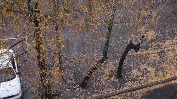 Wczesną zimą. Widok z okna. Ulica. Brzozy. Dwa białe samochody. Śnieg. Panoramy. — Wideo stockowe