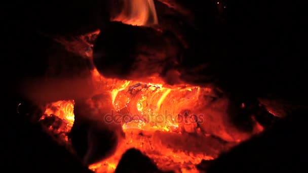 Burning fire. Bonfire. Hearth. The firewood is burning. Night. — Stock Video