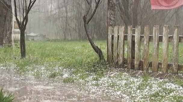 Paisagem rural. Do céu cai granizo e salta da grama. Hailstones despeje com chuvas maciças . — Vídeo de Stock