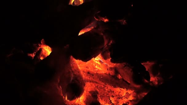 Burning fire. Bonfire. Hearth. The firewood is burning. Night. — Stock Video