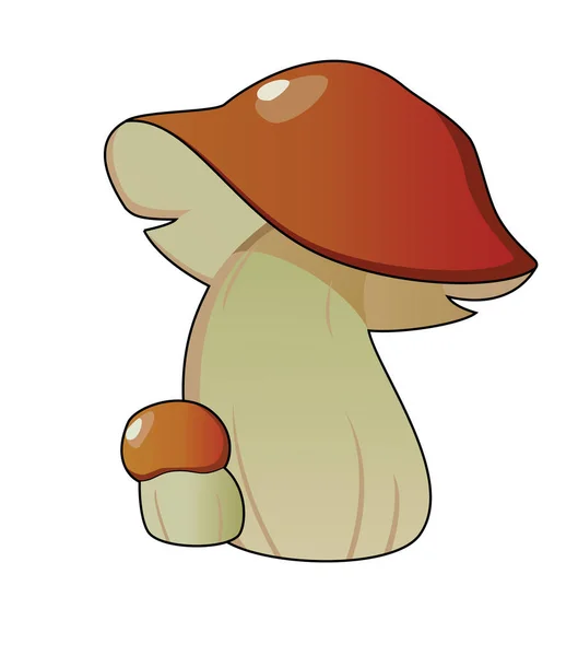 Savoureux petit et grand Bolete — Image vectorielle