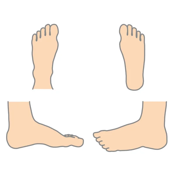 Linker menschlicher Fuß — Stockvektor
