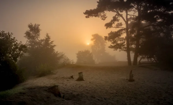 Mystique lever de soleil brumeux sur les dunes — Photo