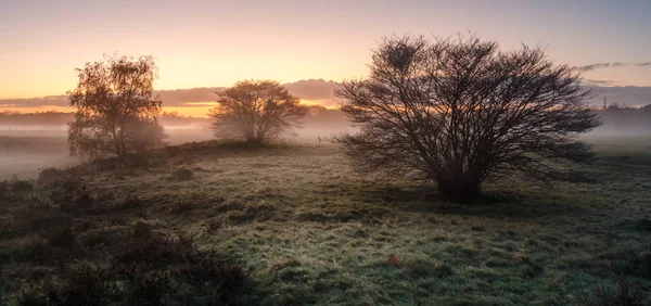 Campo en el amanecer — Foto de Stock