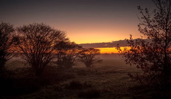 Campo en el amanecer — Foto de Stock