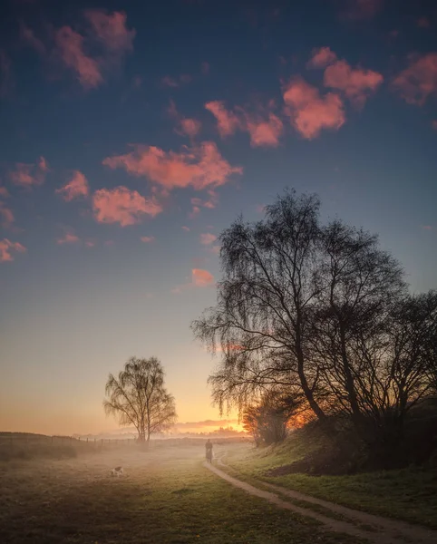 Field in the sunrise — Stock Photo, Image