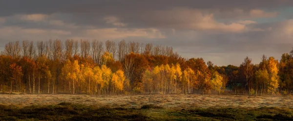 As cores do outono estão aqui — Fotografia de Stock