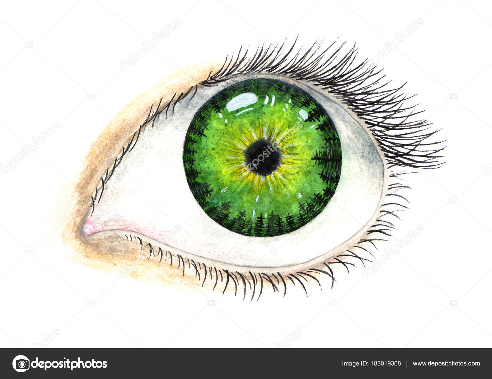 Beautiful Female Eye Pupil Universe Watercolor Illustration