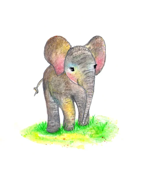 Слон Маленький Слон Акварель — стоковое фото