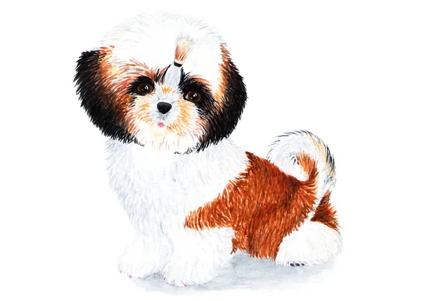 長い髪の子犬シーズー 水彩イラスト 子犬シーズー編みリボン付き 素敵な国内ペット ノート ファブリックのためのパスポートの表紙には — ストック写真