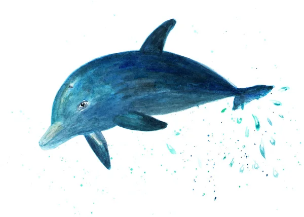 Dolphin Skočí Vody Akvarelu Ilustrace Delfín Skoku Módní Pozadí Pro — Stock fotografie