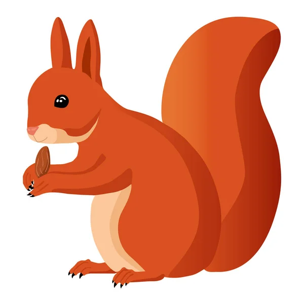 Écureuil avec une noix. Belle illustration . — Image vectorielle