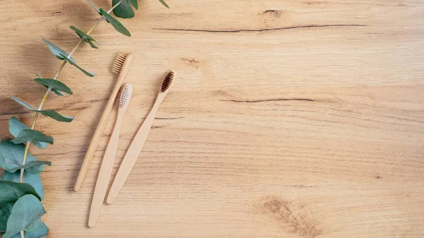 Biodegradowalne naturalne Bambusowa szczoteczka do zębów i zielony liść eukaliptusa na drewnianym stole. Widok z góry z miejsca kopiowania. Zrównoważony styl życia. Zero odpadów, koncepcja bez tworzyw sztucznych — Zdjęcie stockowe