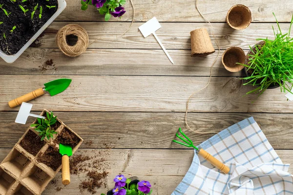 Set Gardening Tools Wooden Table Top View Spring Garden Works — Stock Photo, Image