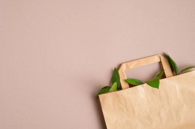 Yeşil yapraklı, biyolojik çözünür kağıt torba. Düz yerde, üst tarafta. Sıfır atık, plastiksiz konsept. Sürdürülebilir yaşam tarzı.