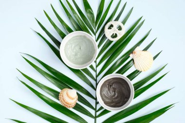 Kaselerde SPA yüz killi maskesi ve mermer arka planda tropikal palmiye yaprağı. Yüz bakımı ve tedavi için doğal organik güzellik ürünleri. Düz yatış, üst görünüm.