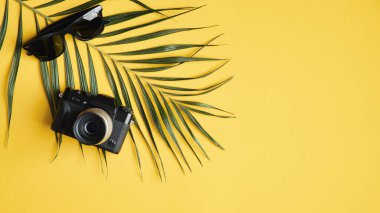 Klasik fotoğraf makinesi, hippi güneş gözlüğü, tropikal palmiye yaprağı olan yaz arkaplanı. Yaz tatili, seyahat, turizm konsepti. Düz konum, üst görünüm, kopyalama alanı