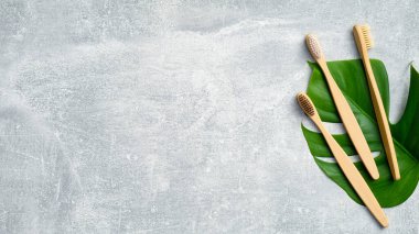 Taş zeminde yeşil canavar yaprağı olan çevre dostu bambu diş fırçaları. Düz yerde, üst tarafta. Sıfır atık kişisel hijyen ürünleri, diş sağlığı konsepti
