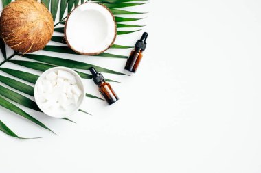 Beyaz arka planda tropikal palmiye yaprağı olan hindistan cevizi yağları. Vücut bakımı, SPA tedavi konsepti. Düz konum, üst görünüm, kopyalama alanı