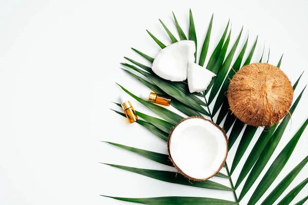 Natural coconut oil for hair, SPA organic cosmetic concept. Flat lay, top view tropical palm leaf, coconuts, essential oil bottles on white background.