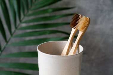 Camda çevre dostu ahşap diş fırçaları. Doğal bambu ağız hijyen aksesuarları. Sıfır atık, plastiksiz, sürdürülebilir yaşam tarzı konsepti