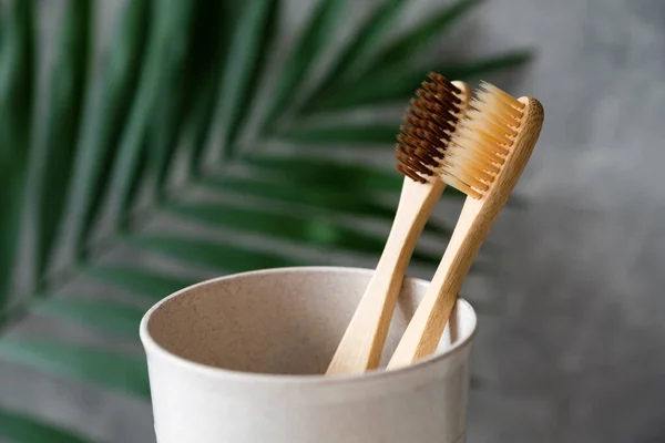 Natural Organic Wooden Toothbrushes Glass Holder Close View Zero Waste — Stock Photo, Image
