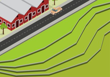 İzometrik yeşil pirinç terasları