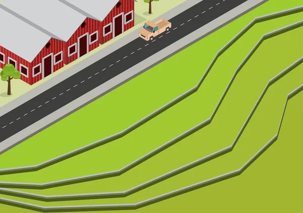 Terrasses isométriques de riz vert Aériennes — Image vectorielle